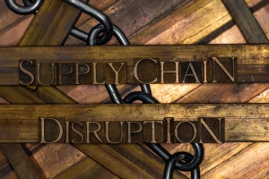 How Businesses are Adjusting To Supply Chain Disruptions Throughout Peak Season